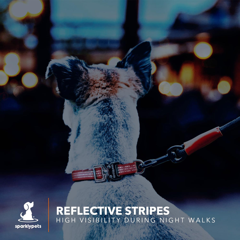 SparklyPets one-hand quick-release collar shown in action for easy on/off