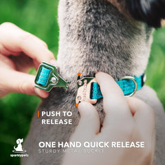 SparklyPets reflective stripes on collar improve visibility during dawn or dusk walks