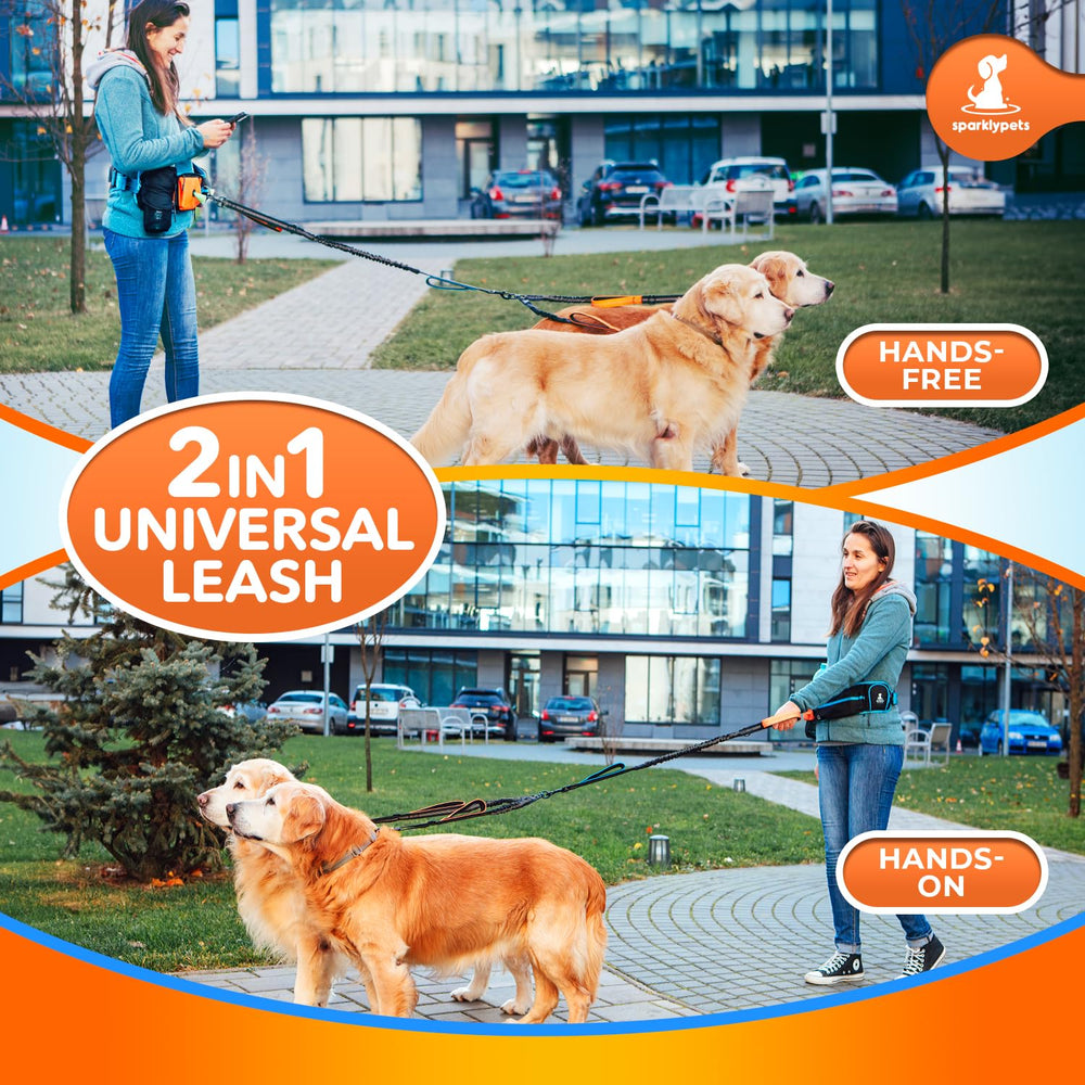 SparklyPets reinforced clasps ensure secure connections during active walking.