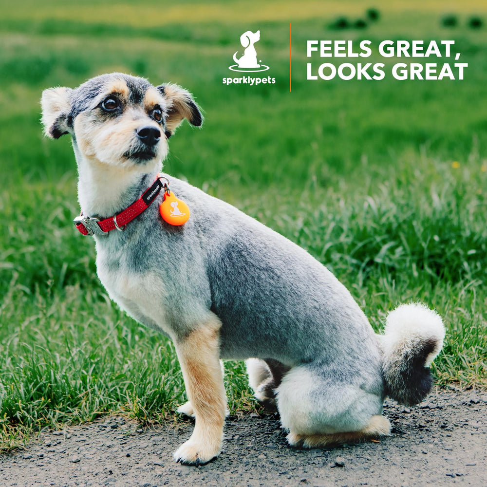 SparklyPets size guide visual shows neck measurement for perfect fit