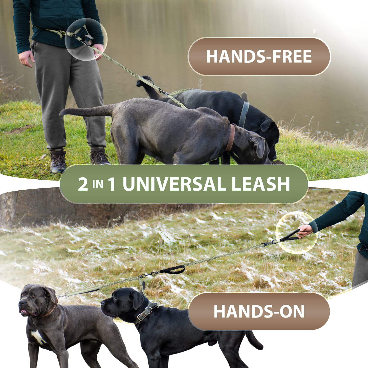 SparklyPets stainless-steel clasps provide secure leash connections.