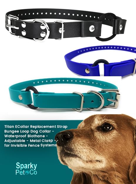 Sparky Pet Co Apollo strap works with Dogtra, Garmin, SportDog systems.