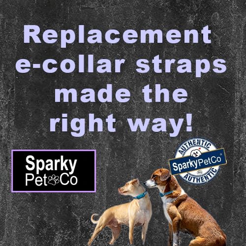 Sparky Pet Co Apollo strap double buckle closure for stronger, safer wear.