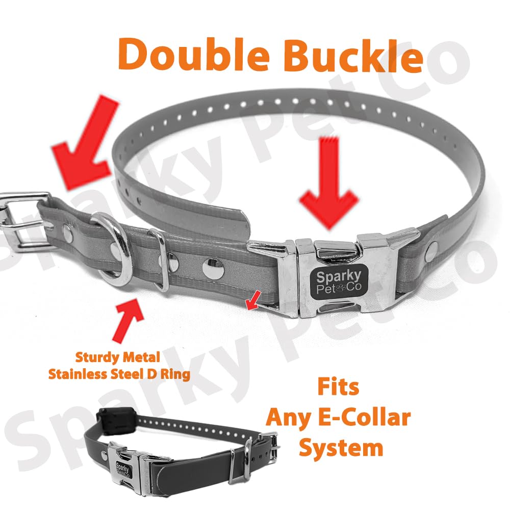 Sparky Pet Co Apollo double-buckle strap shows secure fit for active dogs