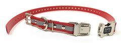 Sparky Pet Co Apollo ecollar strap close-up shows durable buckle for active dogs.