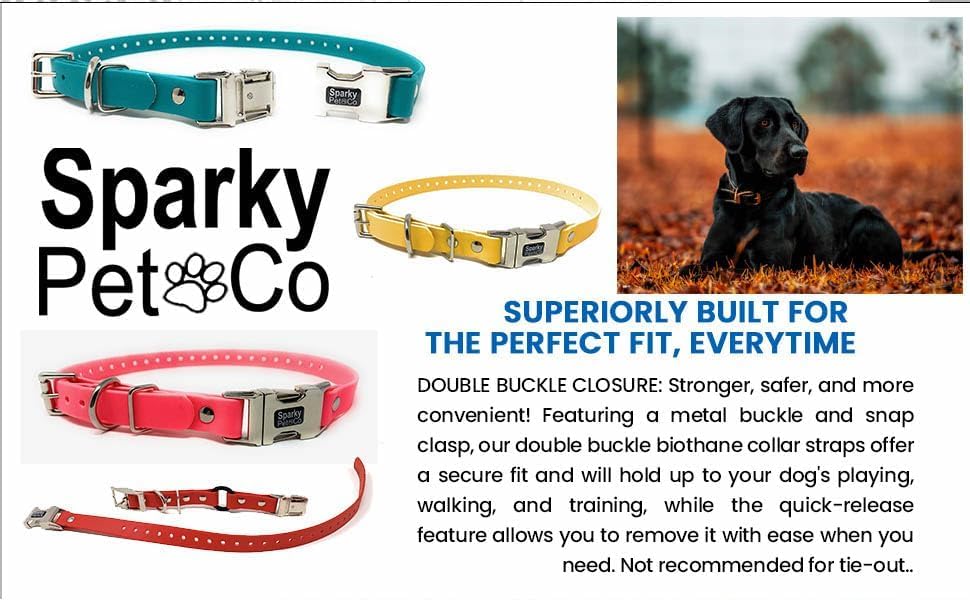 Sparky Pet Co Apollo waterproof Biothane strap ideal for outdoors.