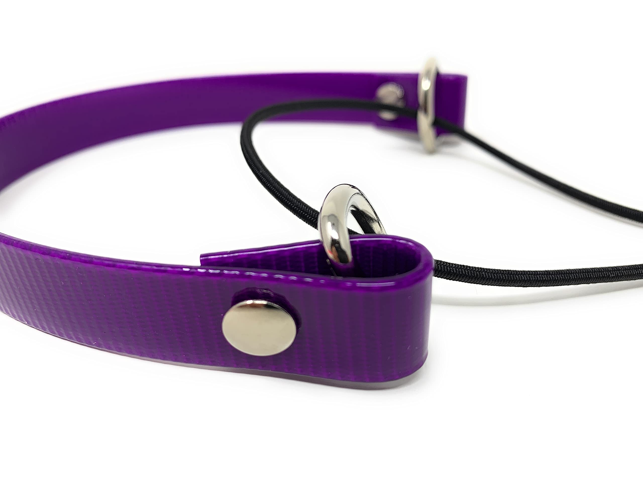 Sparky Pet Co eCollar strap purple bungee closure close-up — secure Nexus wheel lock