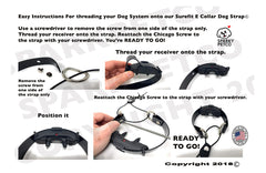 Sparky Pet Co eCollar strap purple care-friendly cleaning — quick refresh