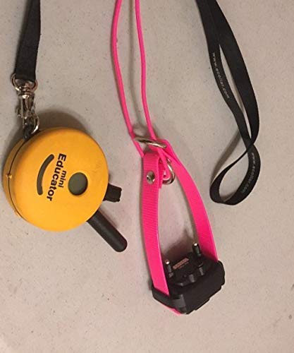 Sparky Pet Co one-inch strap compatibility indicating universal fit with major brands