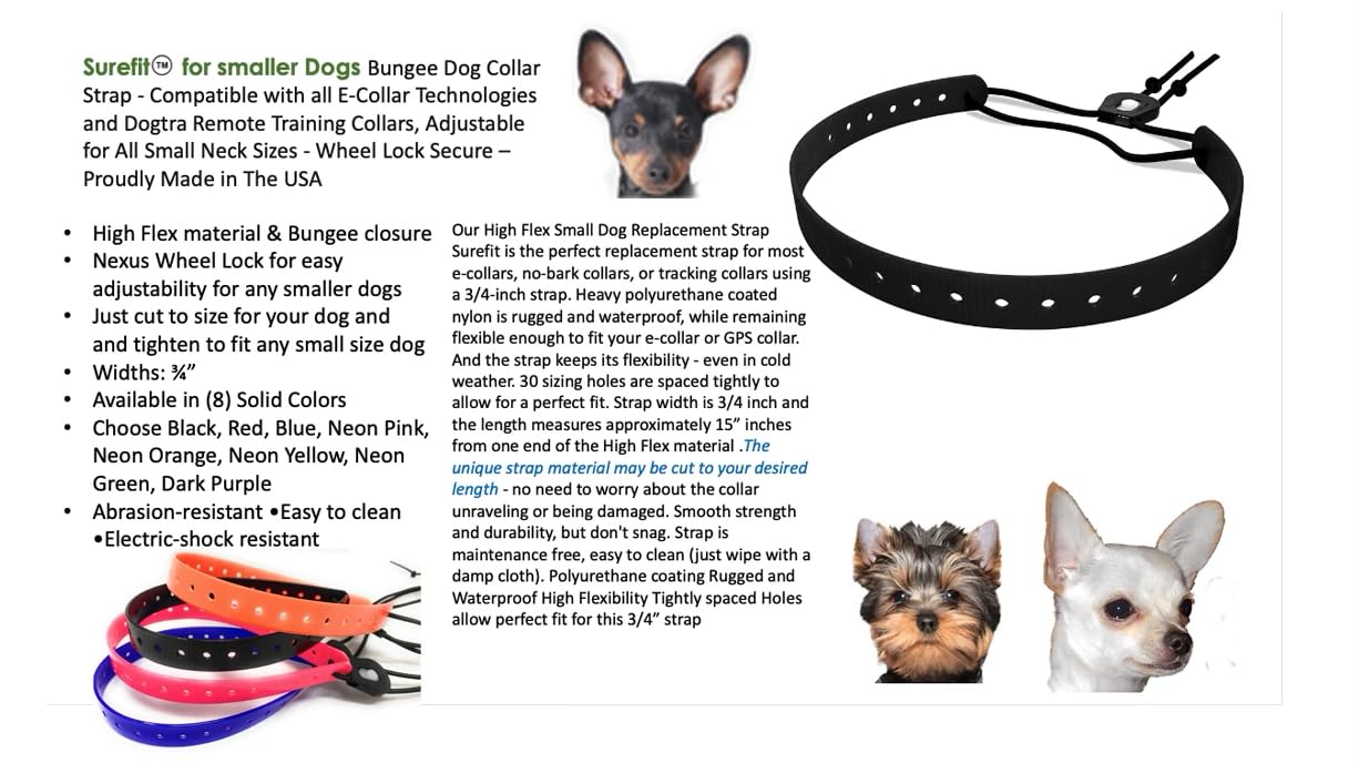 Sparky Pet Co neon-orange GPS strap packaging image
