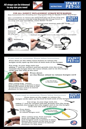 Sparky Pet Co waterproof strap in action during outdoor water play.