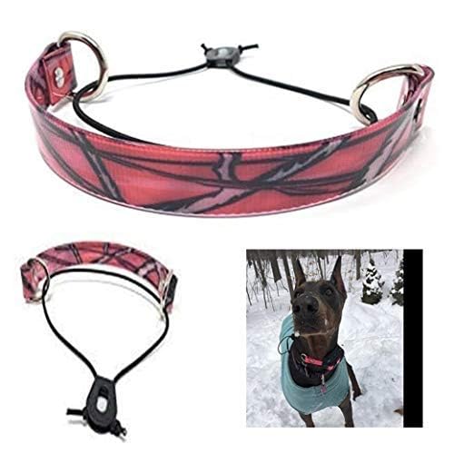 Sparky Pet Co waterproof strap closeup showing easy cleaning after outdoor adventures.