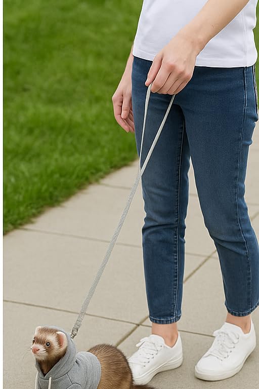 Spartan Atlantic gray ferret 48-inch leash extended for flexible exploration