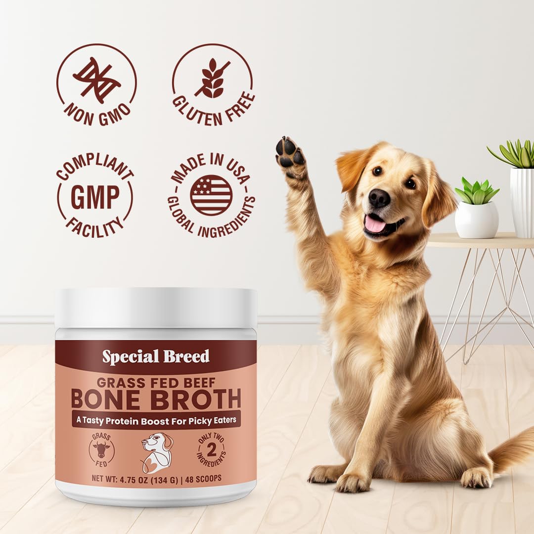 Special Breed bone broth powder ingredients include grass-fed beef broth and sunflower lecithin