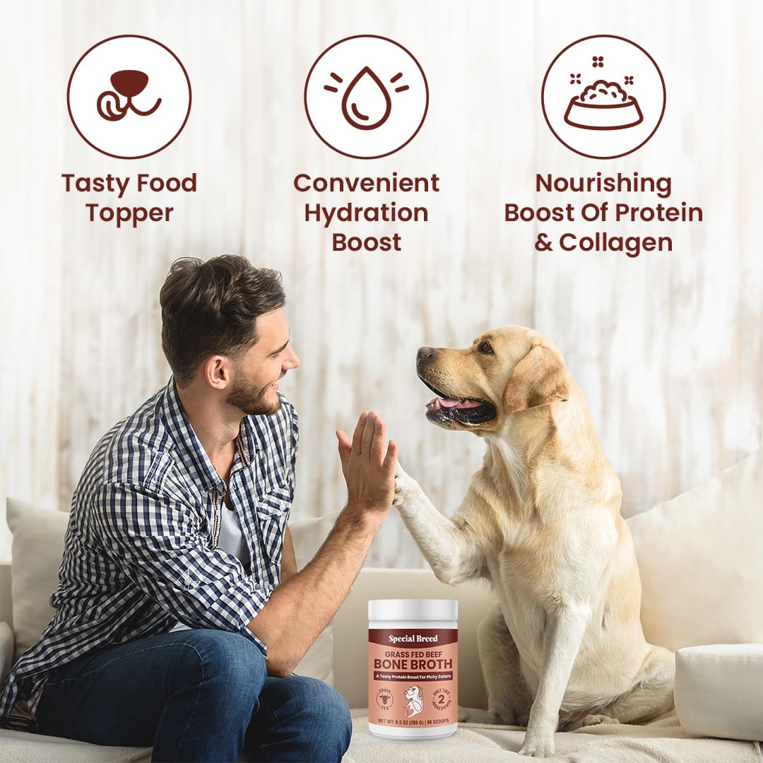 Special Breed Bone Broth Powder is poured over food for extra flavor and hydration.