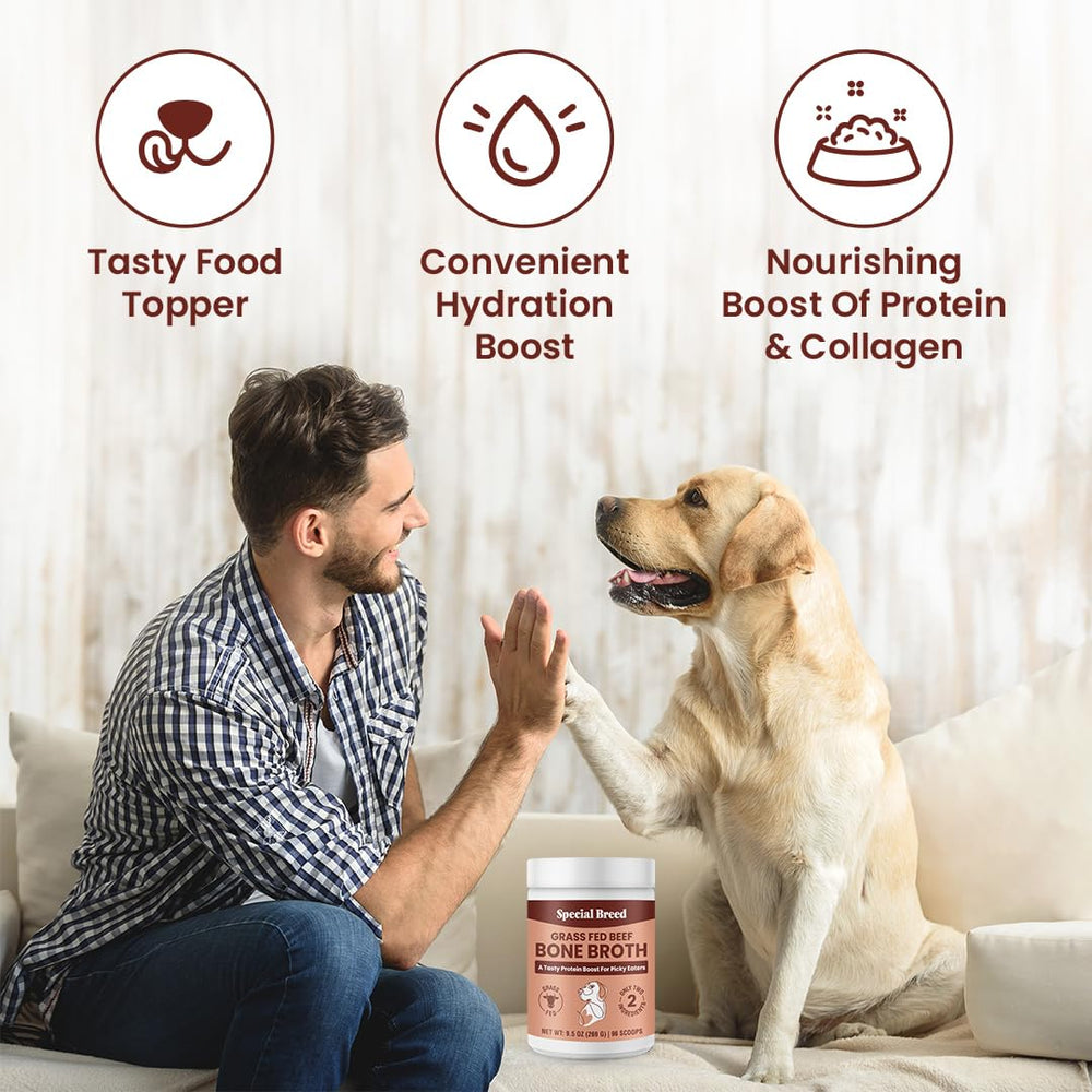 Special Breed Bone Broth Powder is poured over food for extra flavor and hydration.