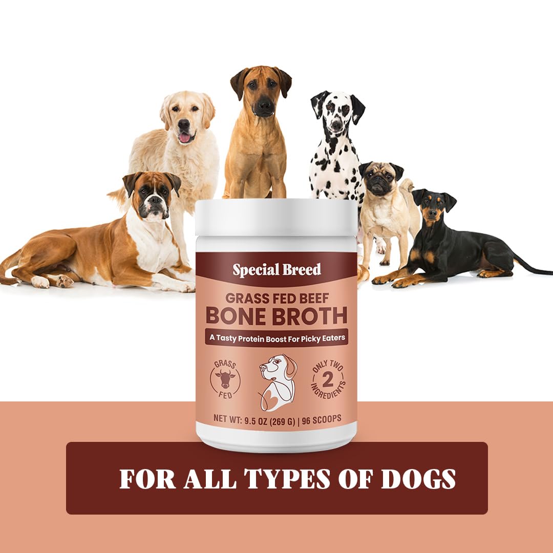 Special Breed Bone Broth Powder features sunflower lecithin for added nutrition.