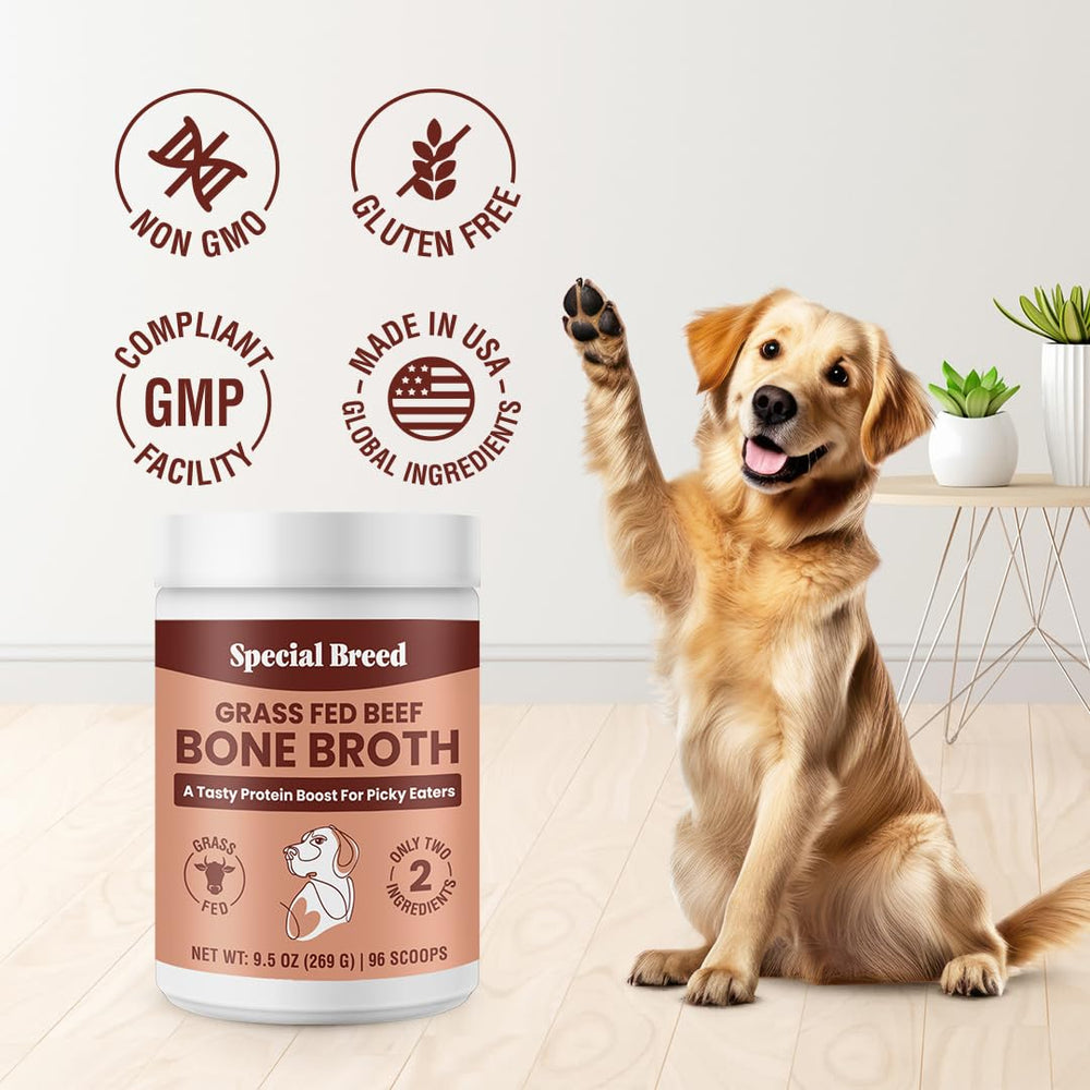 Special Breed Bone Broth Powder topping entices dogs and cats during meals.