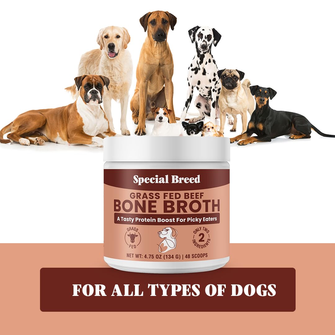Special Breed bone broth powder USA-made with natural ingredients