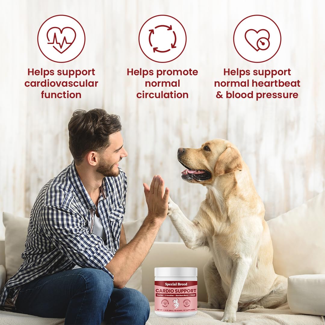 Special Breed Cardio Support CoQ10 image emphasizes energy and heart health.