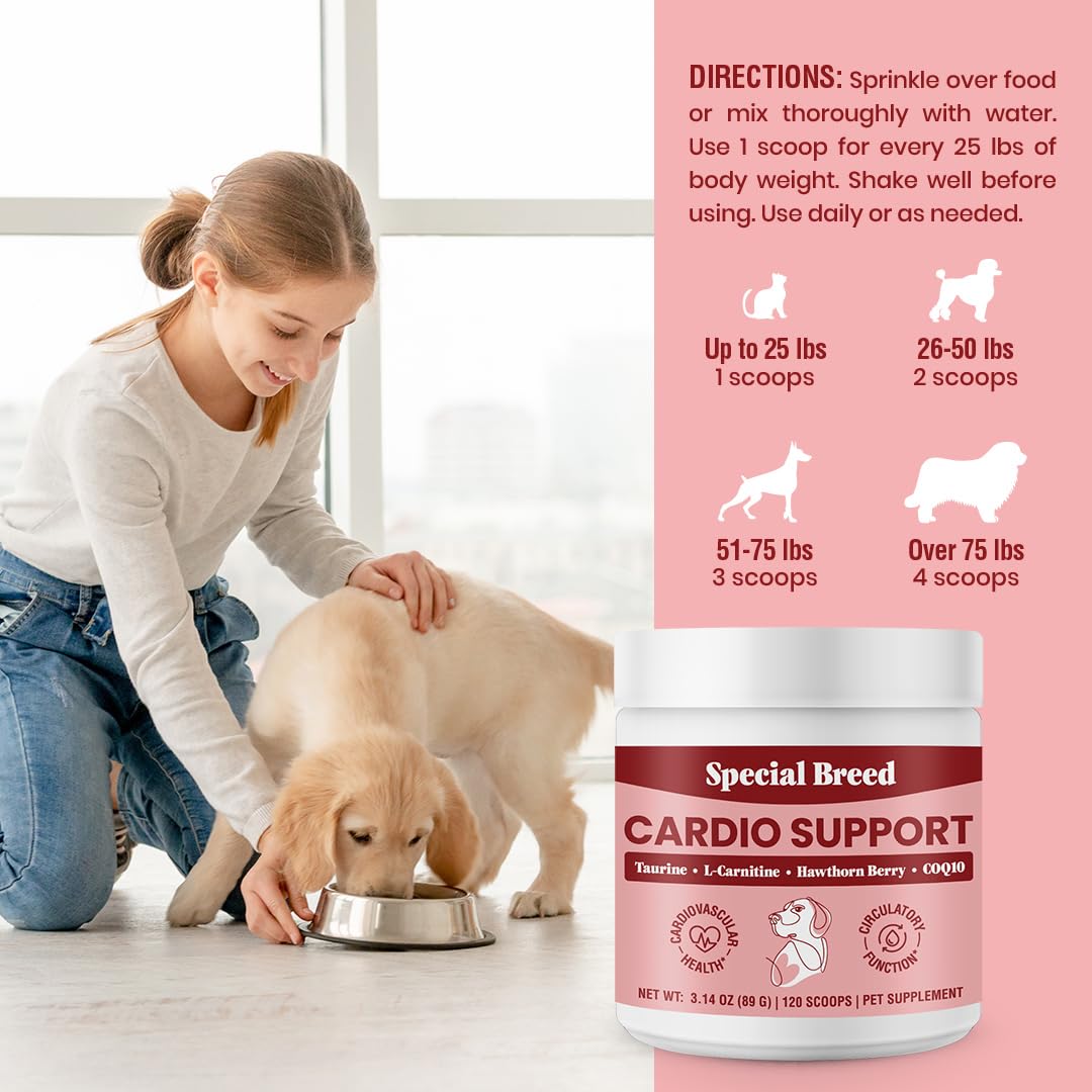 Special Breed Cardio Support mixes easily into dog meals for daily use.
