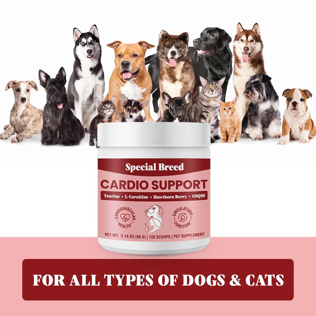 Special Breed Cardio Support USA-made badge emphasizes quality assurance.