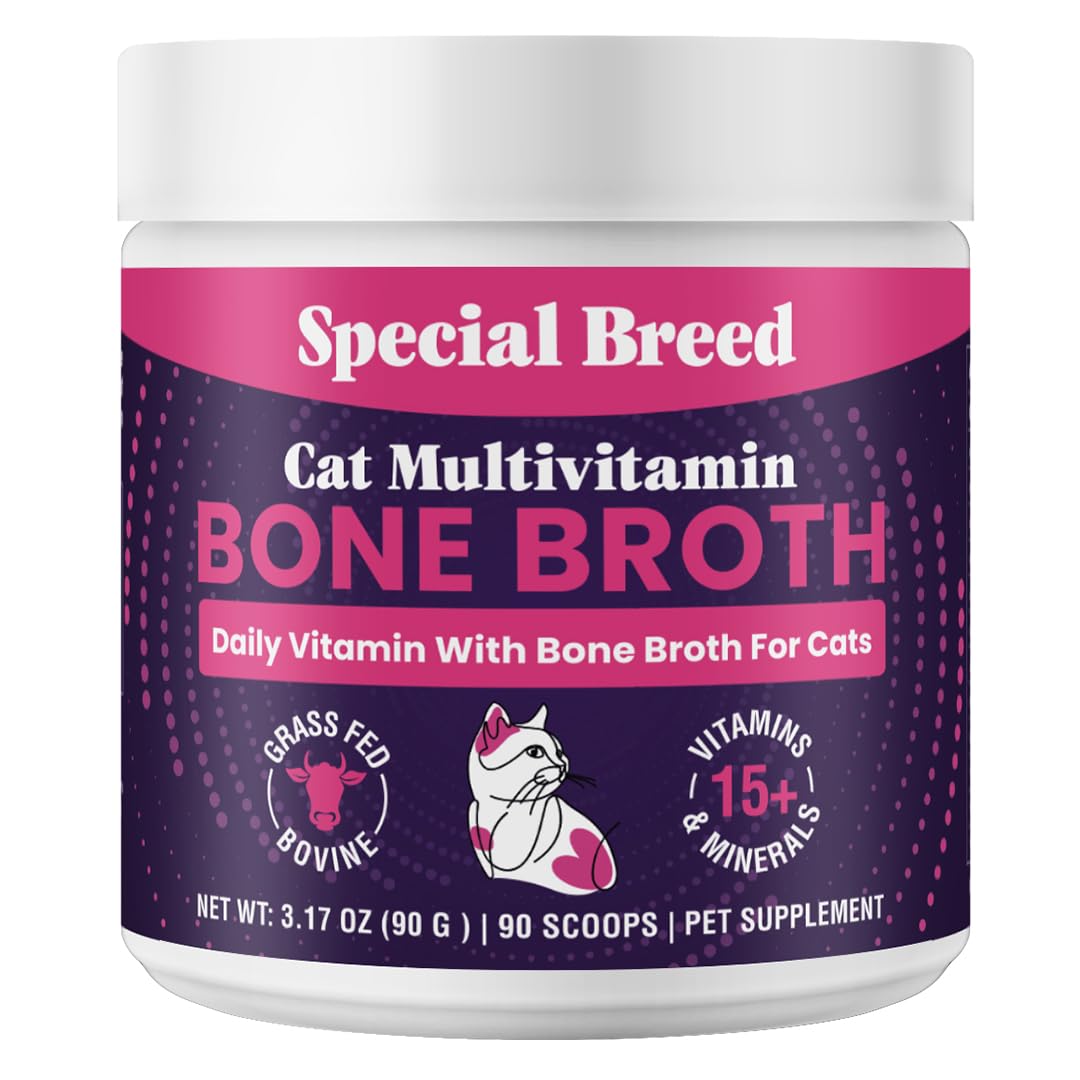 Special Breed cat multivitamin bottle demonstrates convenient daily immune and wellbeing support.