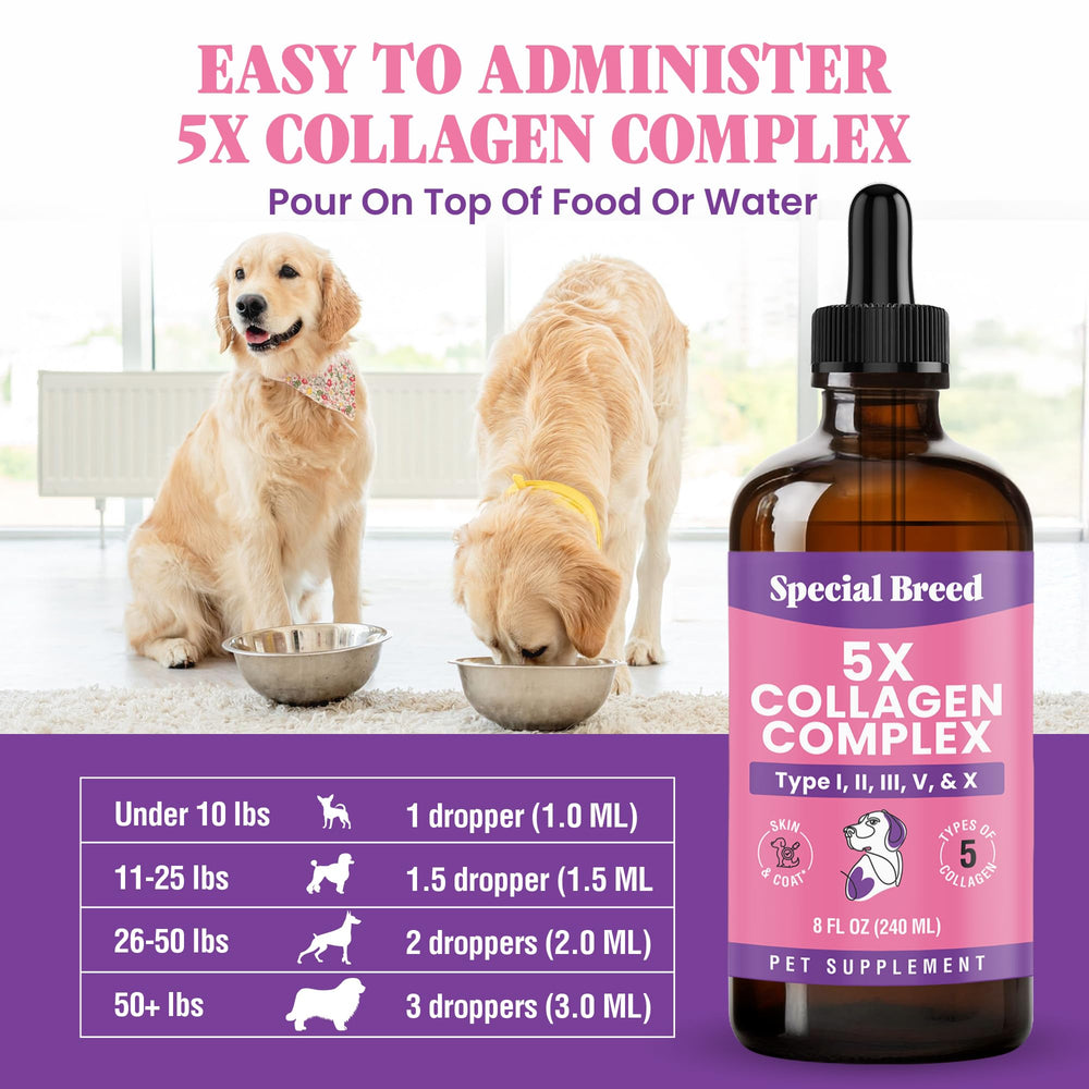 Special Breed dog collagen in liquid form simplifies dosing for daily use.