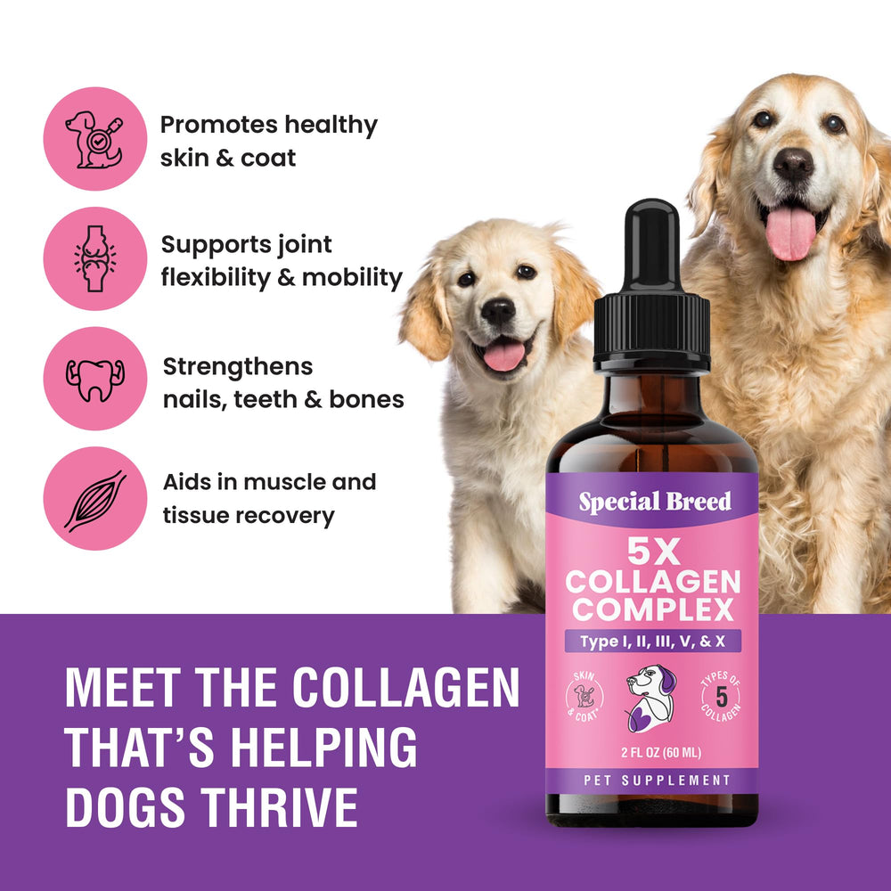 Special Breed collagen dogs liquid pour demonstrates easy-to-dose supplementation for busy pet households