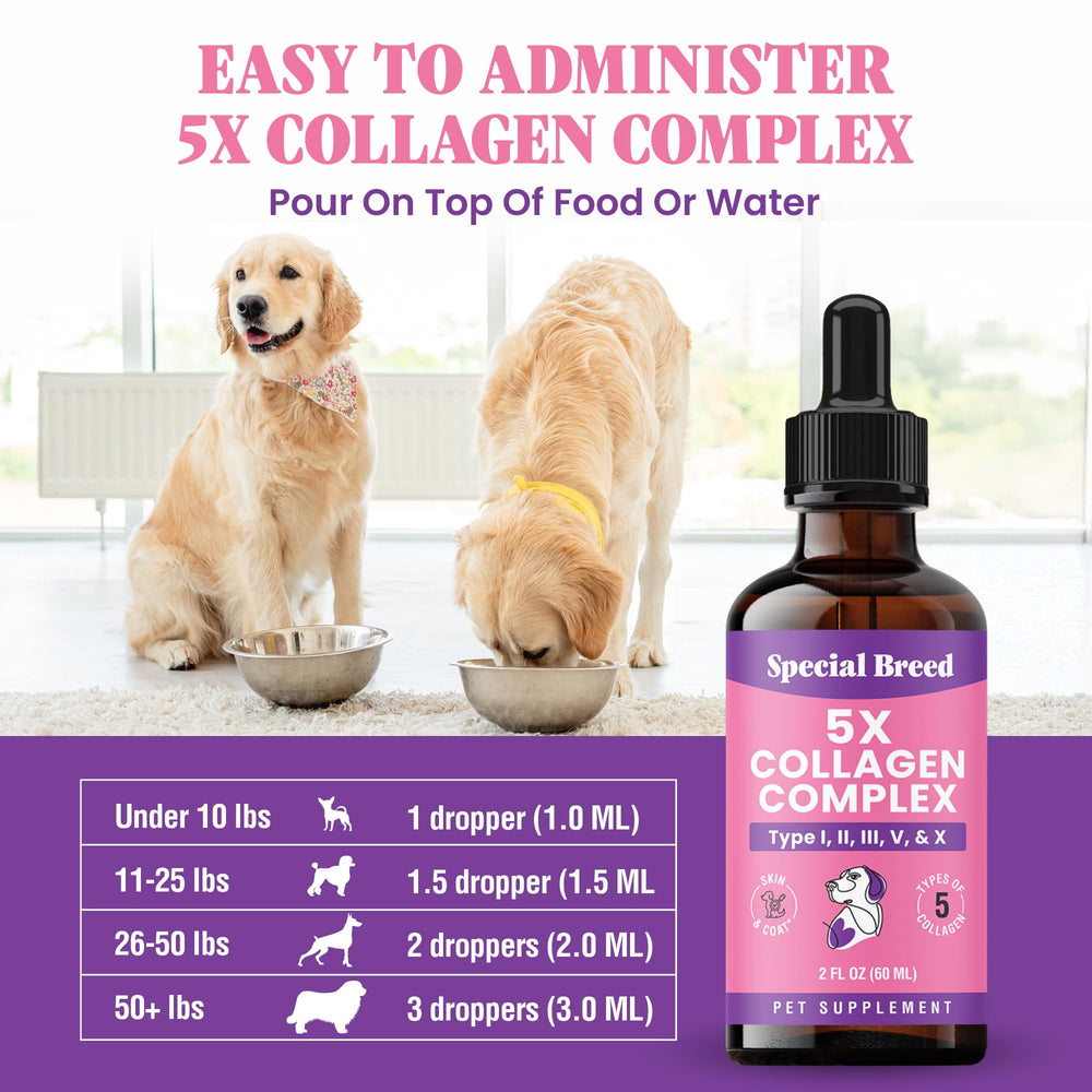 Special Breed collagen dogs shiny coat detail highlights radiant fur and healthy appearance