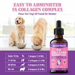 Special Breed collagen dogs shiny coat detail highlights radiant fur and healthy appearance