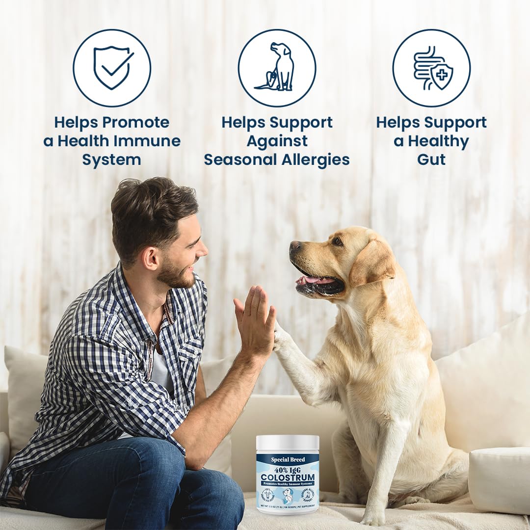 Special Breed colostrum powder stirred into dog food for daily wellness.
