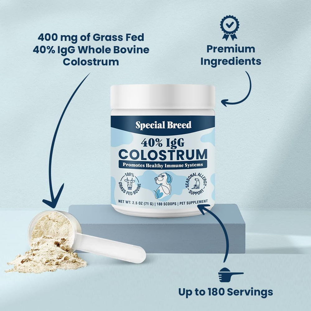 Special Breed colostrum powder being scooped for easy immune-support mixing.