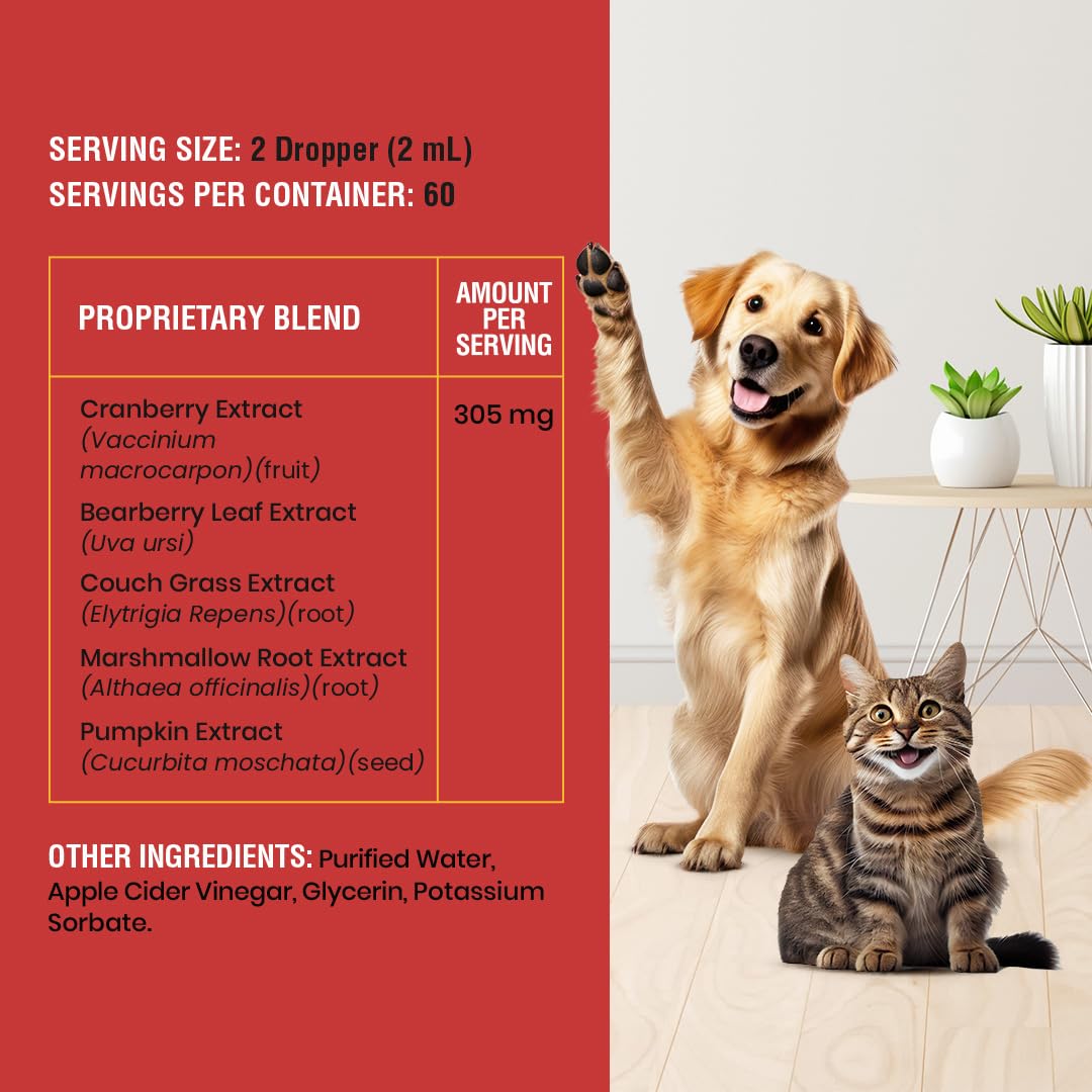 Special Breed cranberry ingredient closeup suggests natural cranberry support for urinary health.