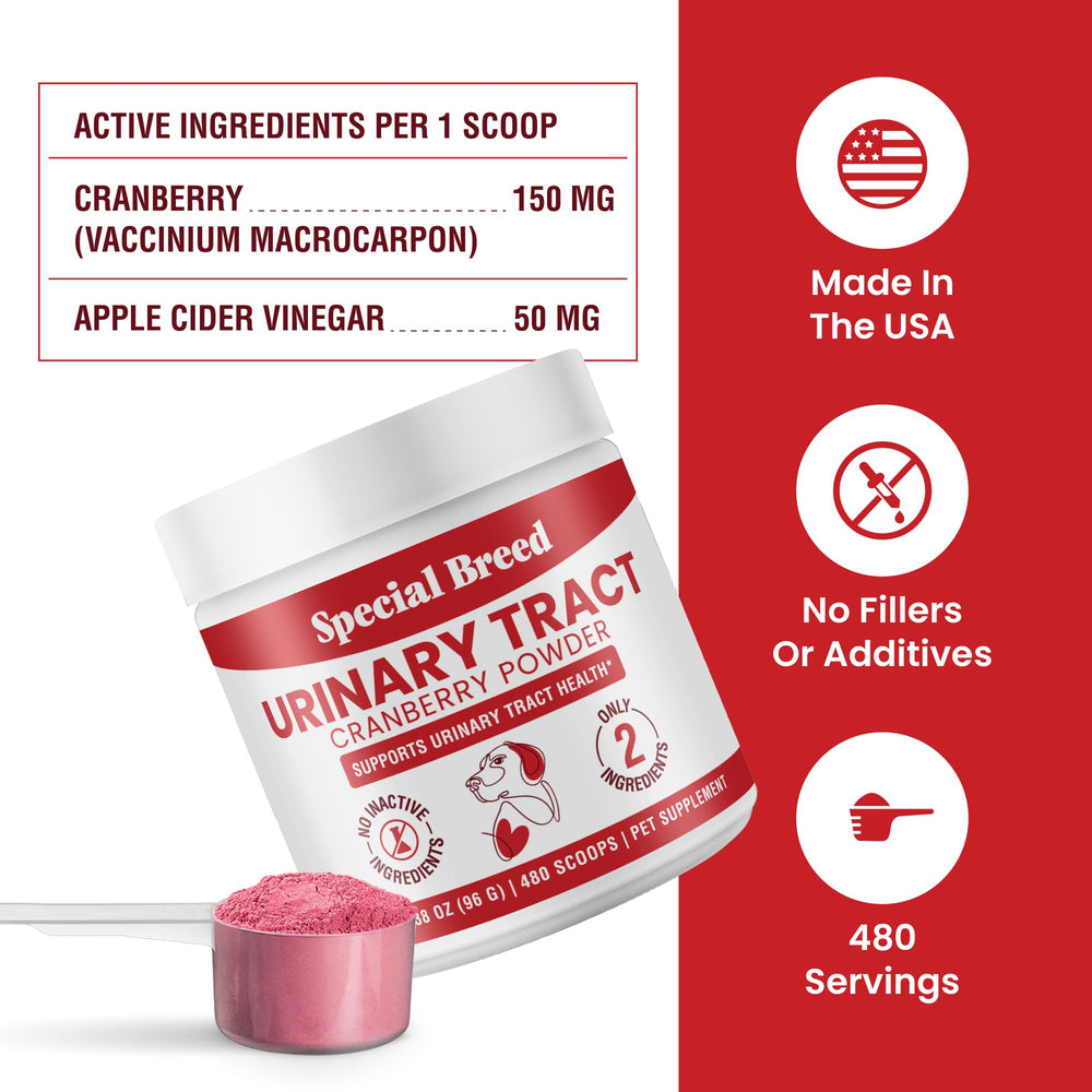 Special Breed cranberry powder in a dog bowl ready for routine urinary care