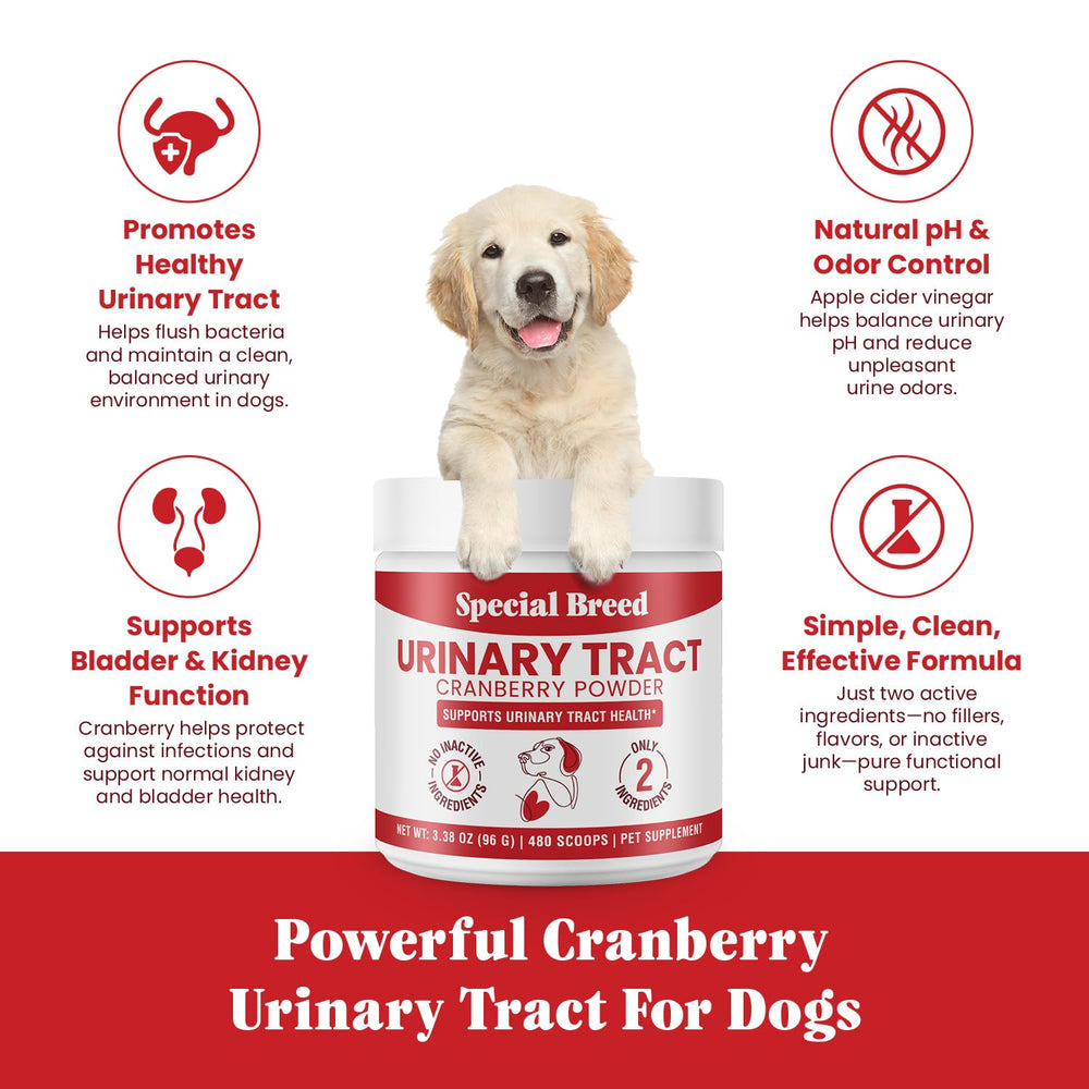 Special Breed cranberry powder being stirred into dog food for bladder support