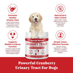 Special Breed cranberry powder being stirred into dog food for bladder support