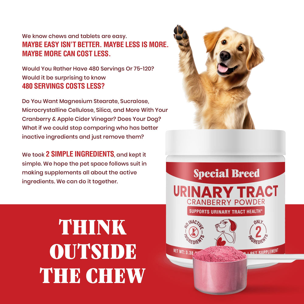Special Breed label close-up highlighting USA-made GMP quality and two-ingredient formula