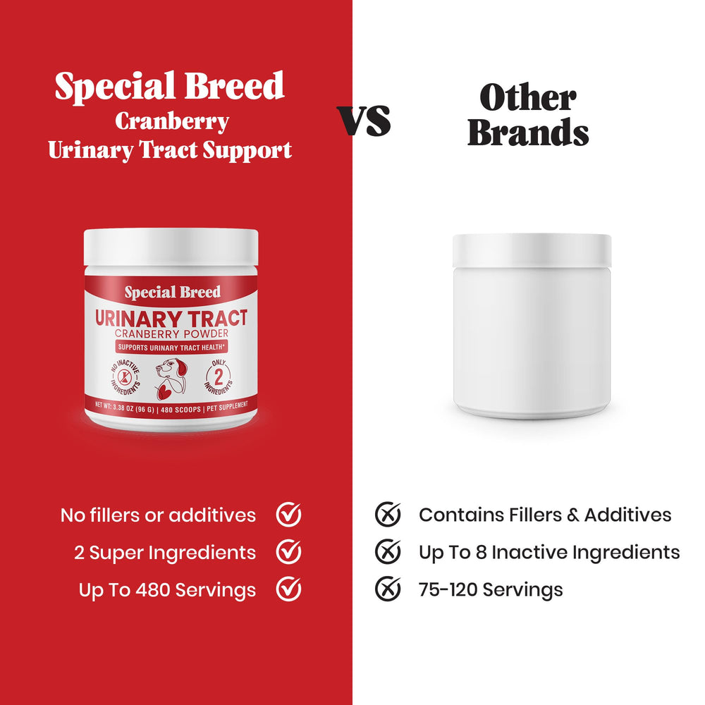 Special Breed dog meal with cranberry powder demonstrating convenient daily routine
