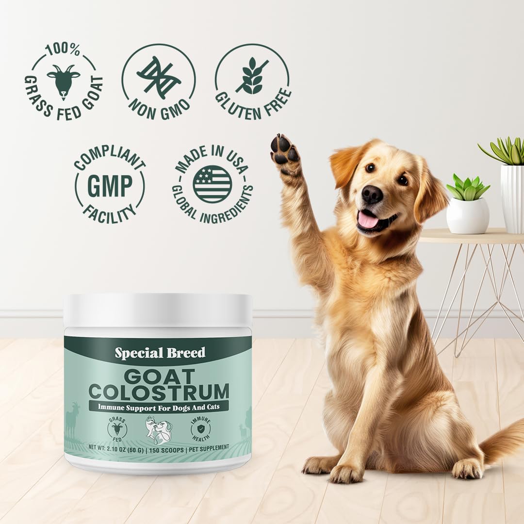 Special Breed Goat Colostrum powder in bowl demonstrates pet-friendly serving.