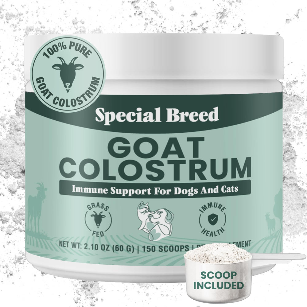 Special Breed Goat Colostrum powder tub front supports pet immunity.