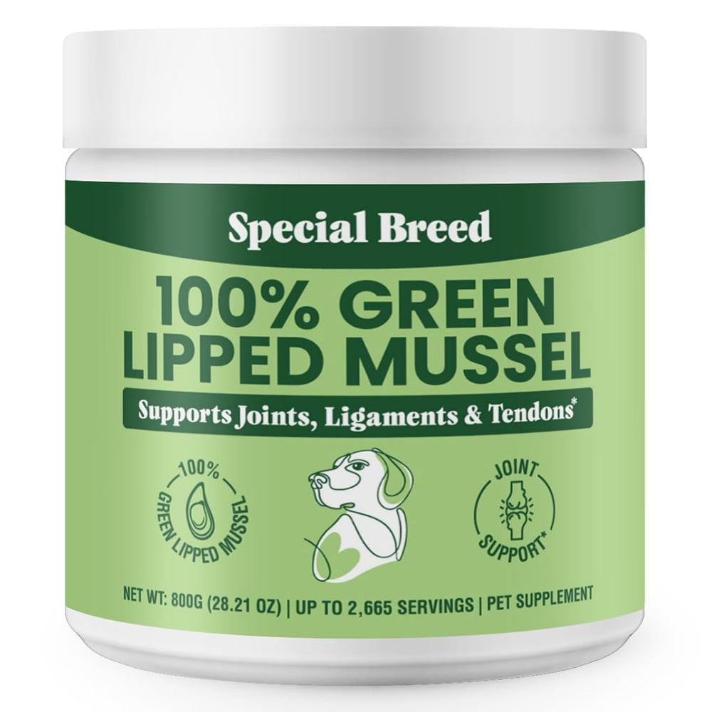 Special Breed green lipped mussel powder bottle for pet joint support