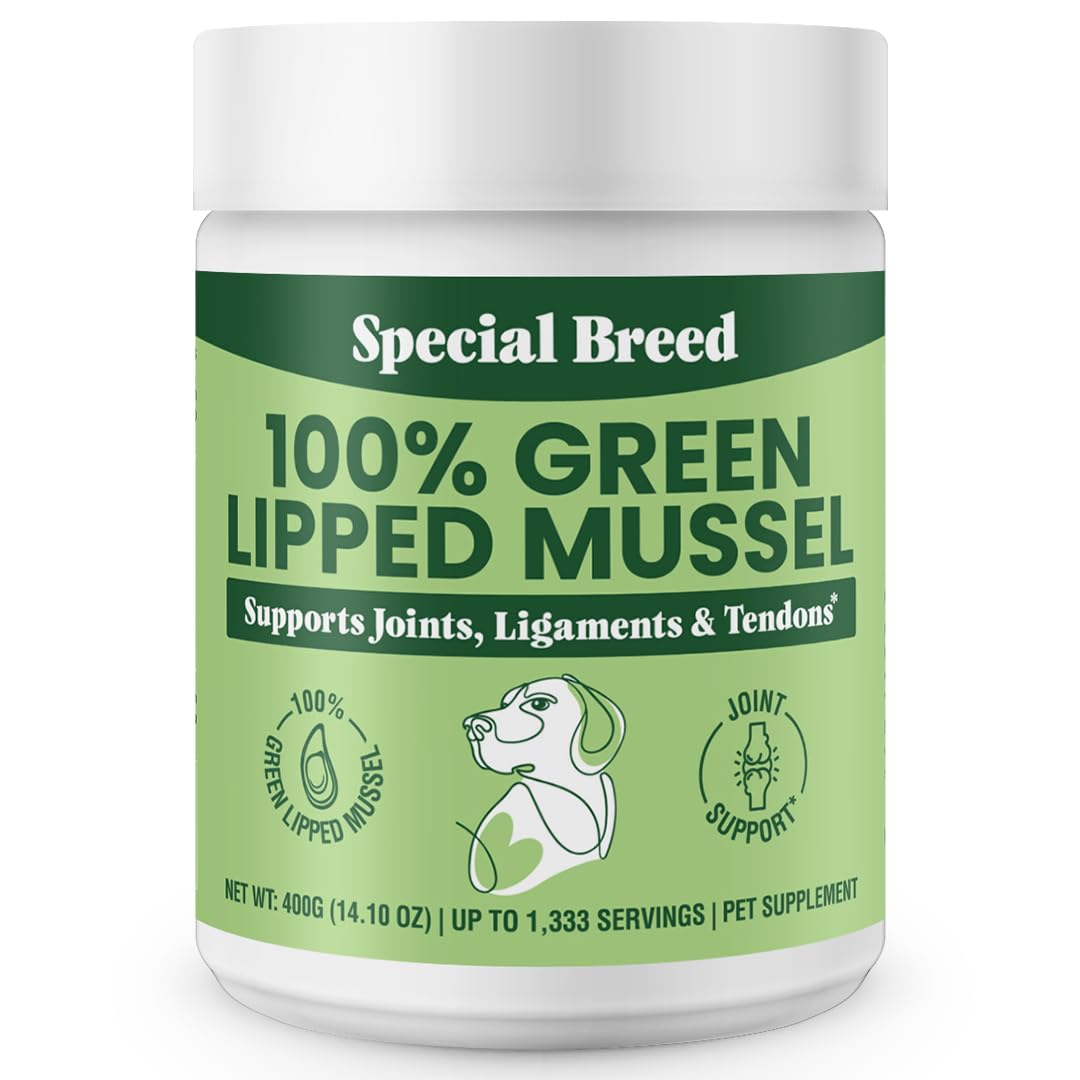 Special Breed Green Lipped Mussel Powder bottle demonstrates natural joint support