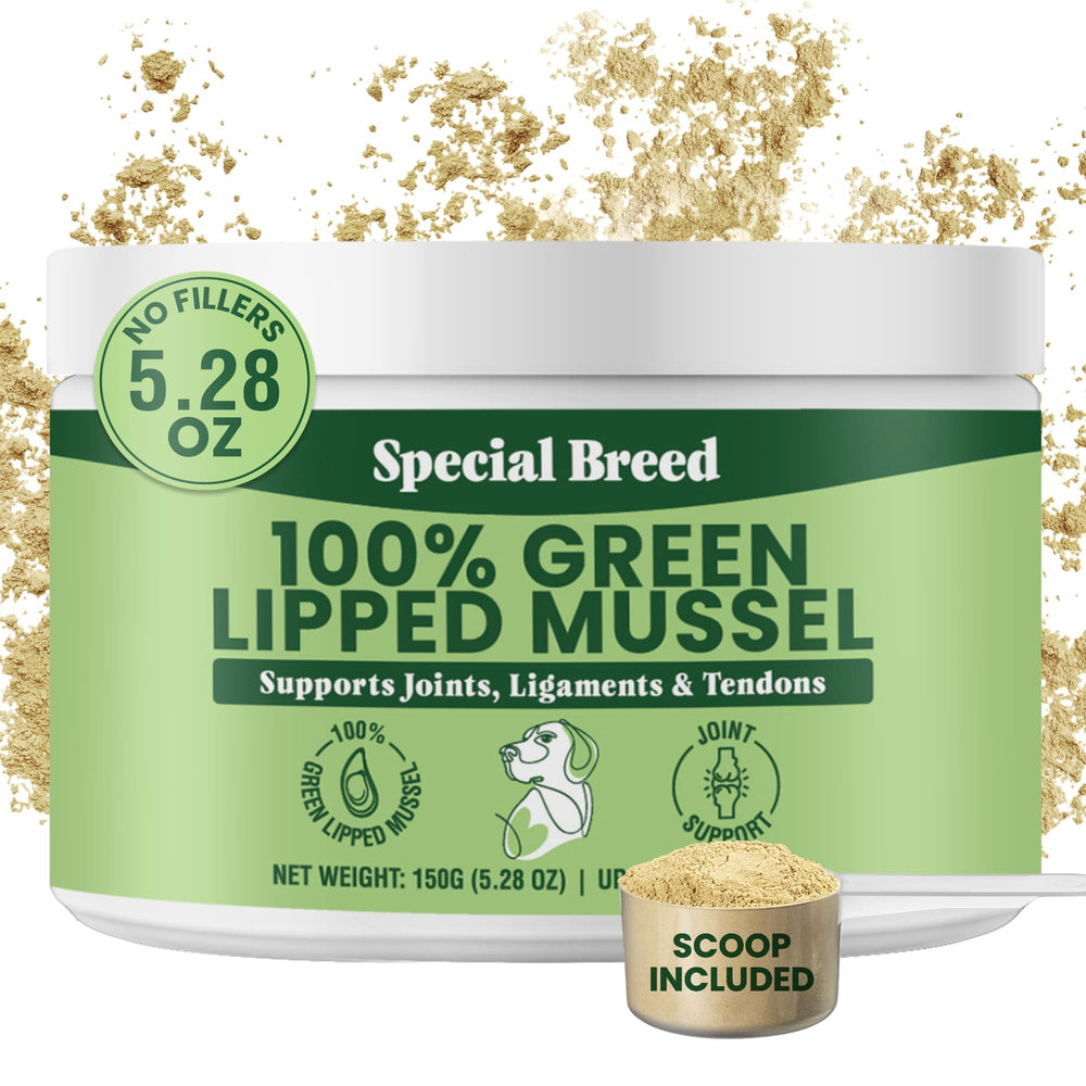 Special Breed green-lipped mussel powder bottle close-up for natural joint support