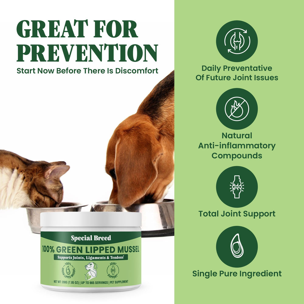 Special Breed powder scoop and jar shown for easy daily dosing of joint support.