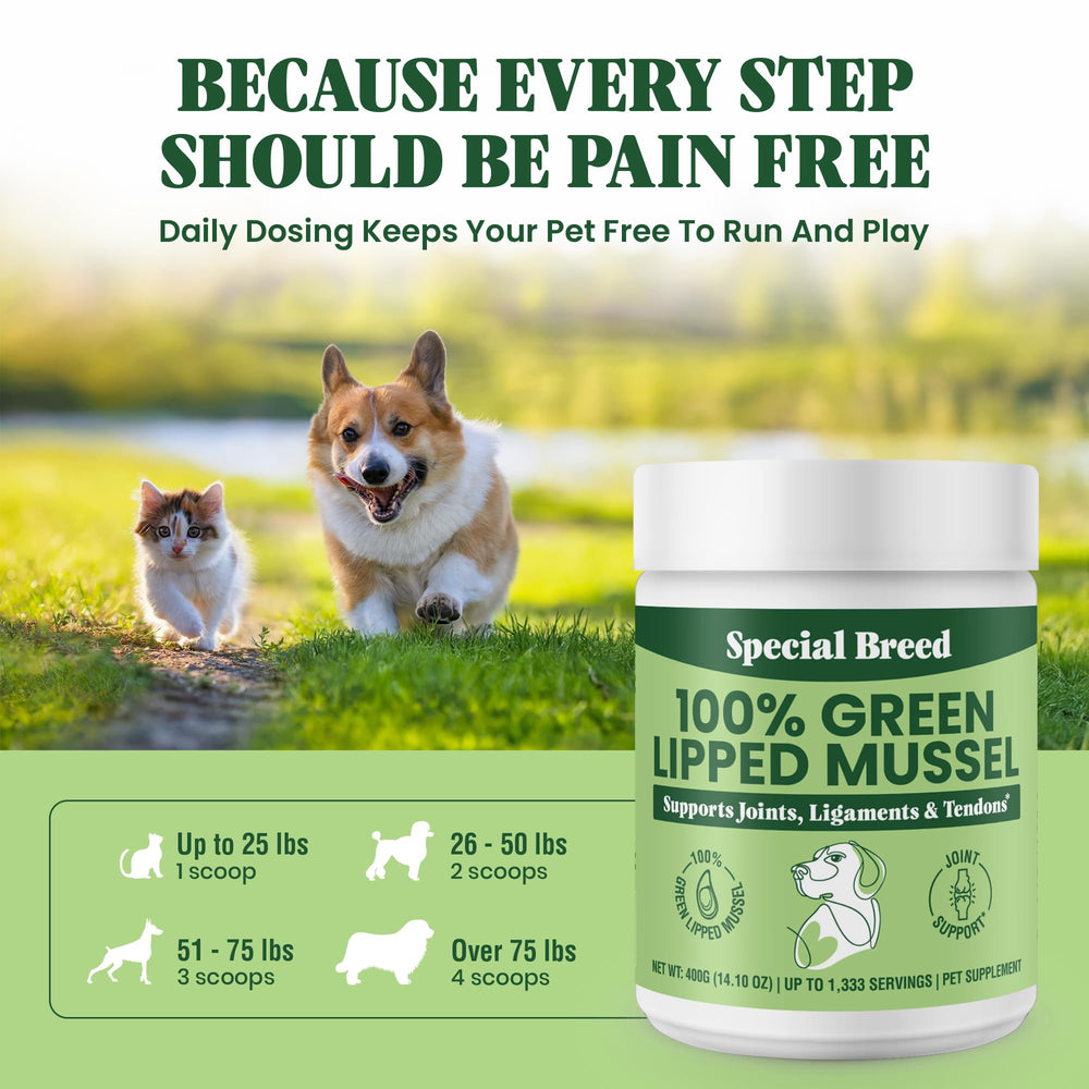 Special Breed Green Lipped Mussel Powder cat food mix supports activity