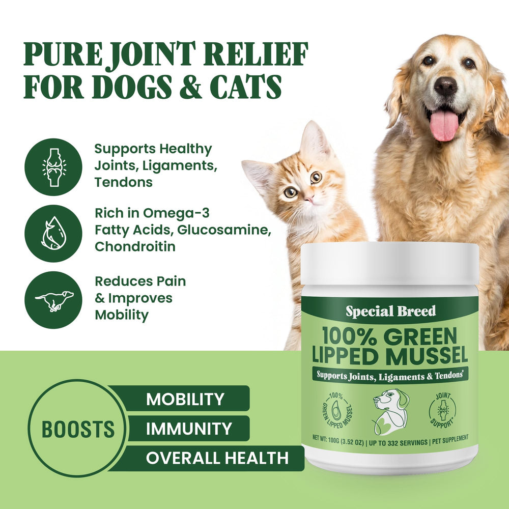 Special Breed mussel powder cat meal pour over supports feline joint wellness.