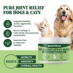 Special Breed green lipped mussel powder mixed into cat food for feline joint wellness.