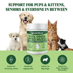 Special Breed Green Lipped Mussel Powder dog food mix supports mobility