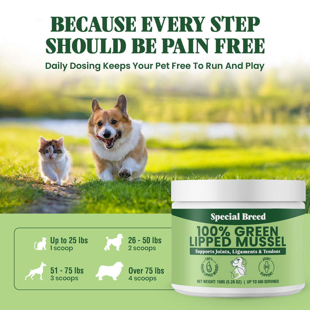 Special Breed green-lipped mussel powder on active dog showcasing joint support